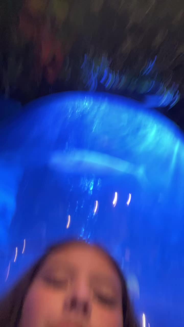 @Thequeen
