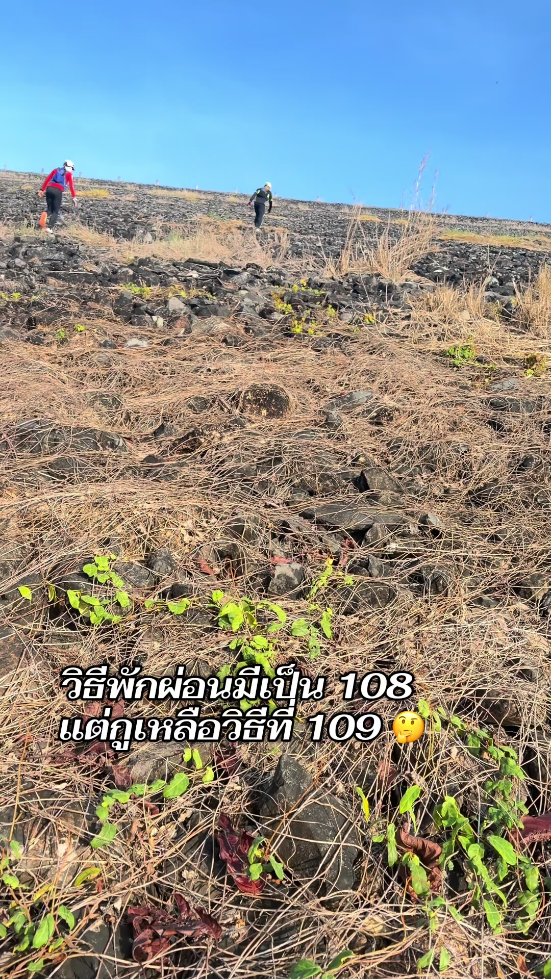 @ล่ามญี่ปุ่นสายอัลตร้า✅🏃♀️