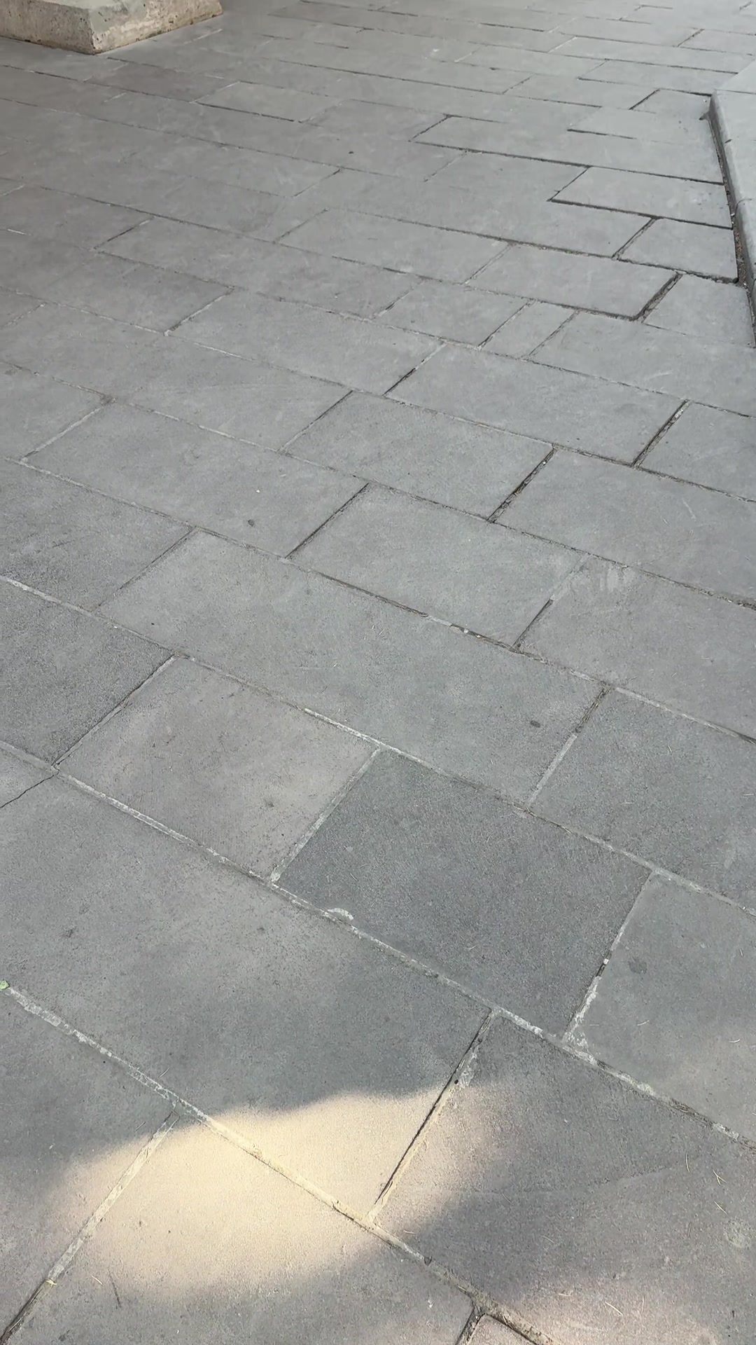 @Evsiz Karınca