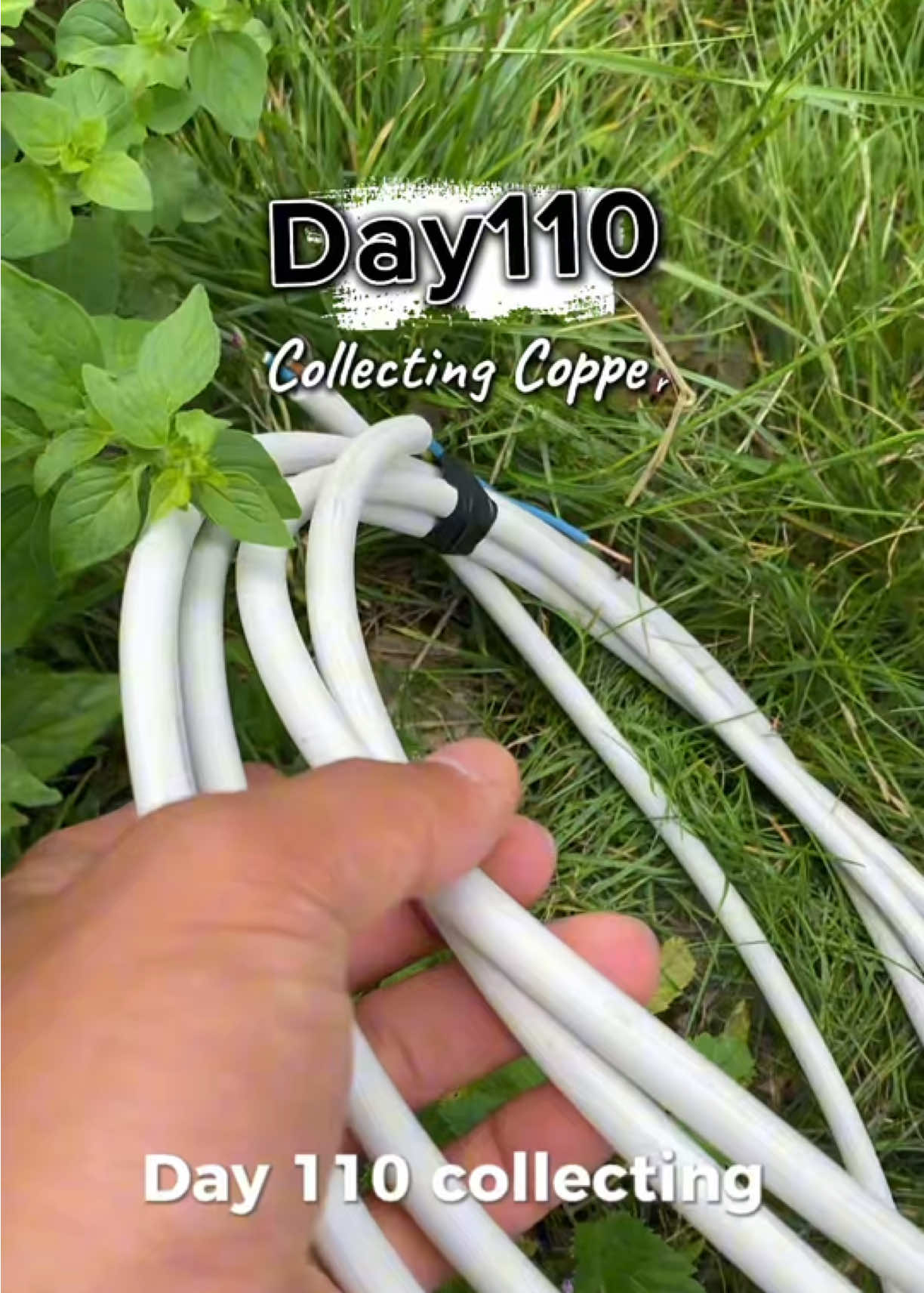 @RealCopper