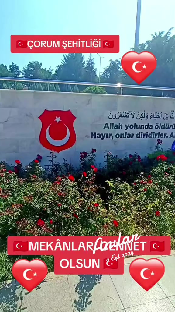 @🇹🇷🇹🇷KAMİL🇹🇷HANCI🇹🇷🇹🇷