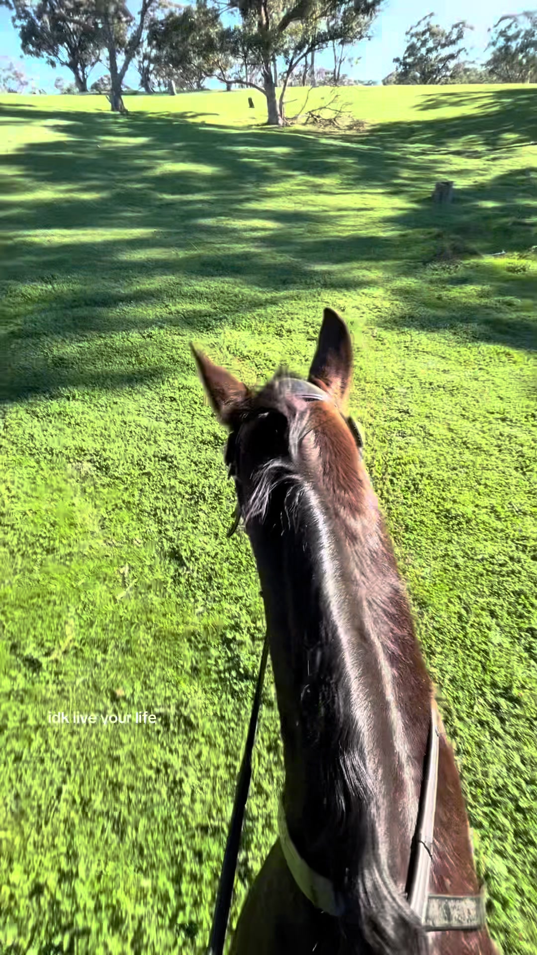 @t.equestrianxx