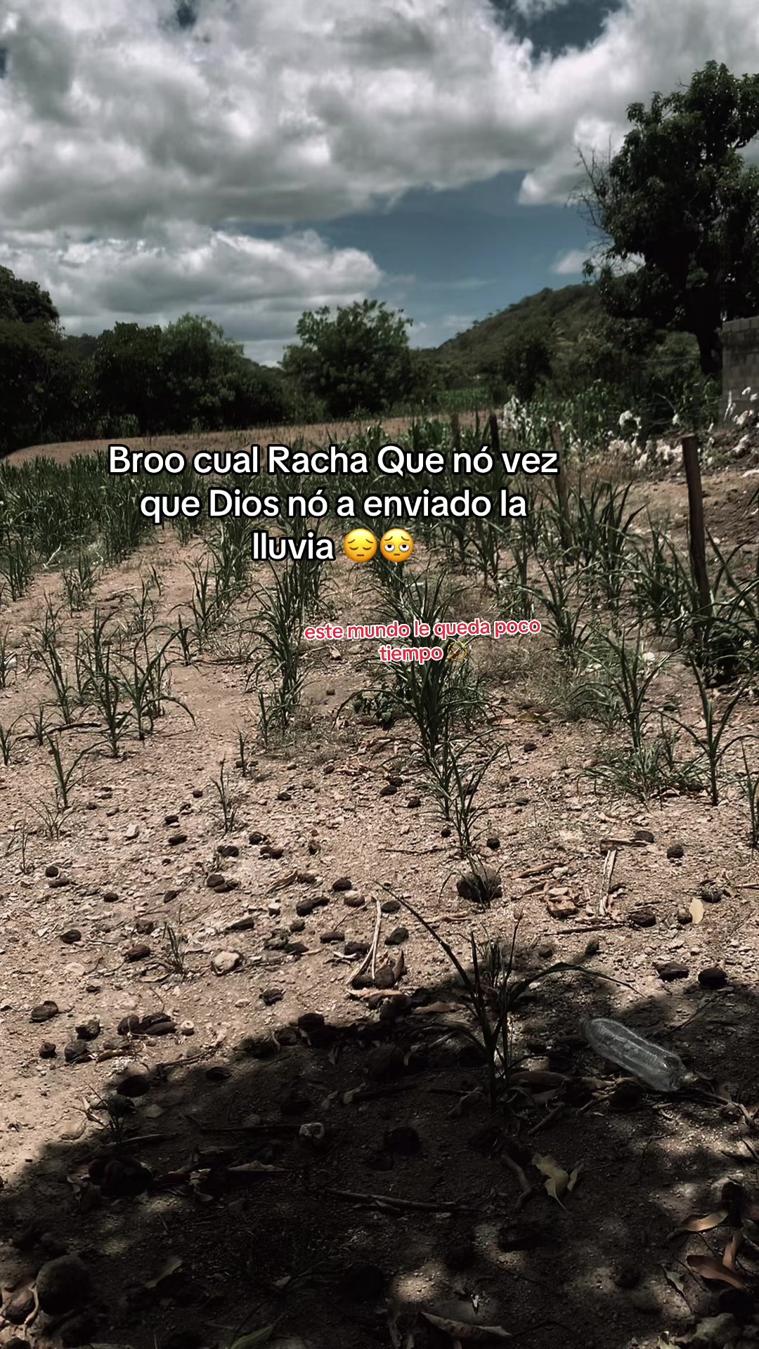 @Ř