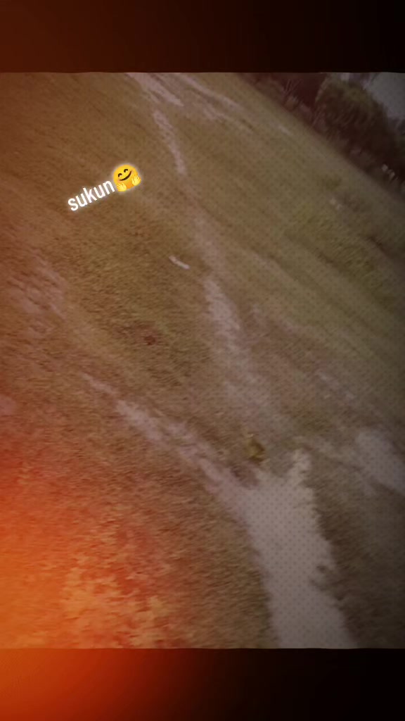 @💫Satya🫀🦾