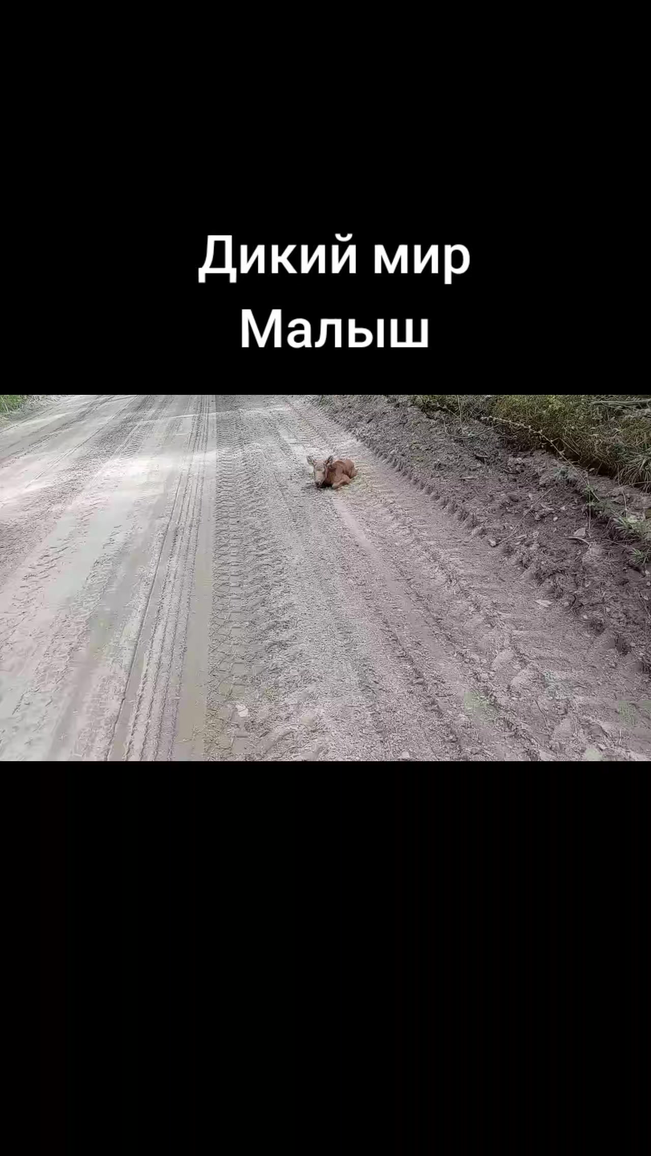 @Matroskin_0406_