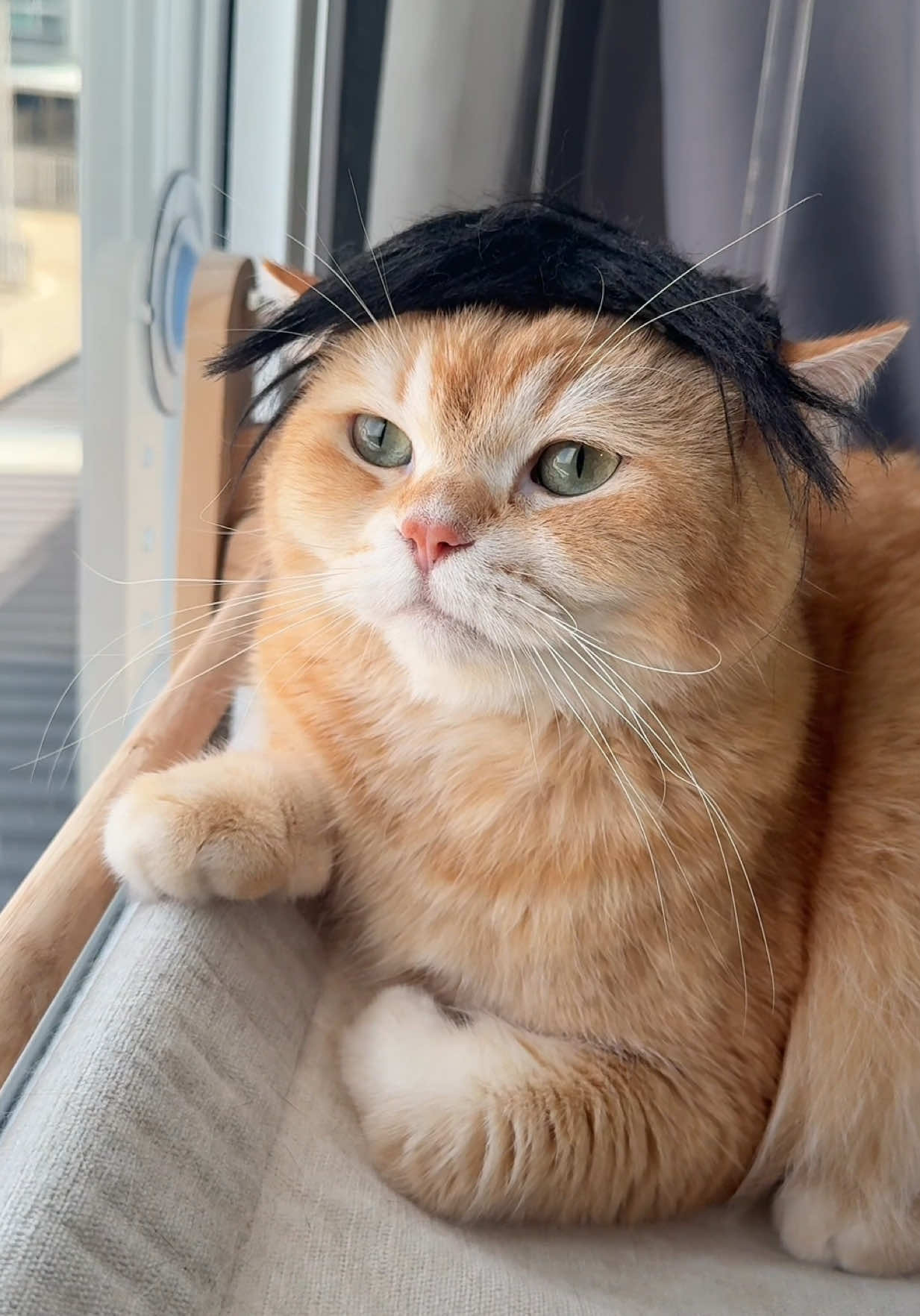 @ชิเอลแมวมึน 😺