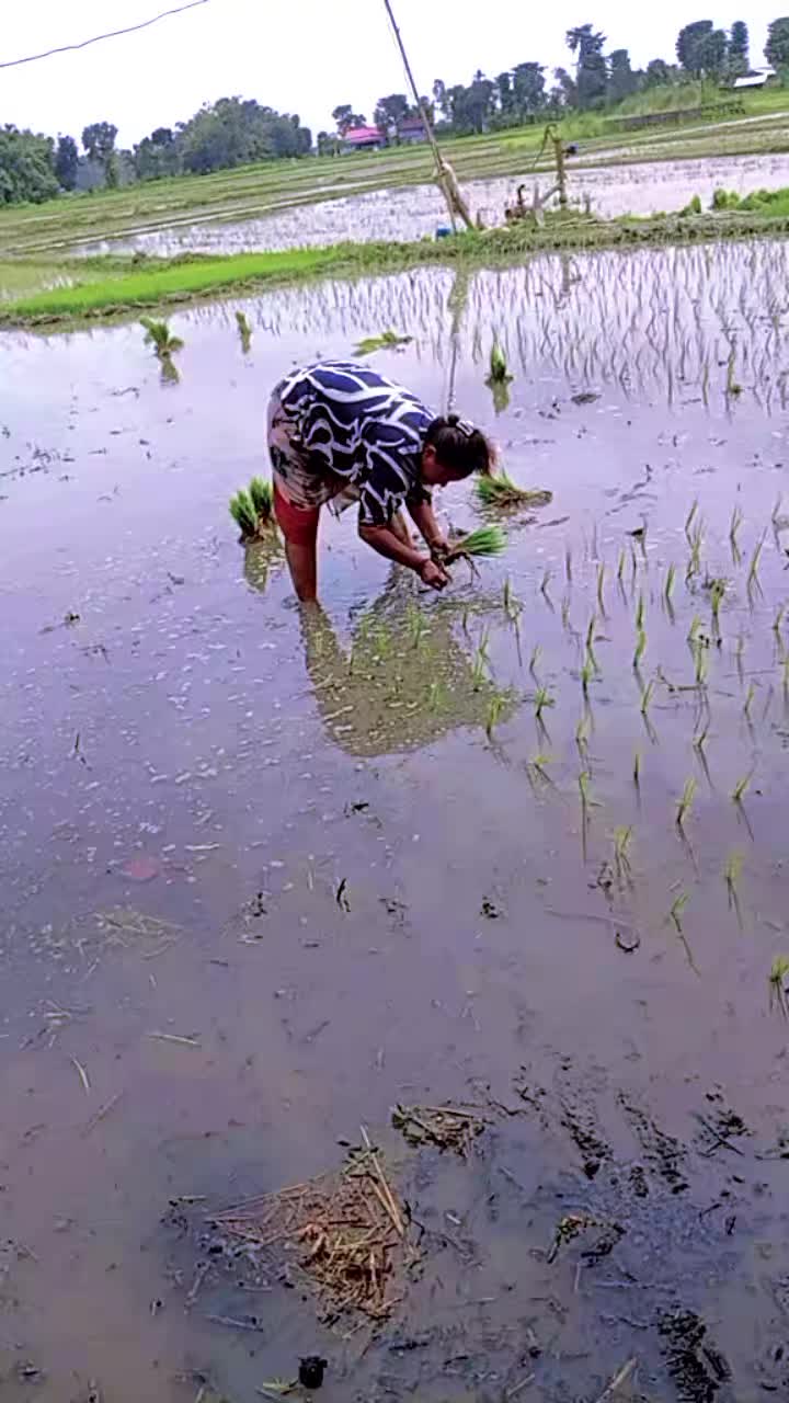 @अनु र