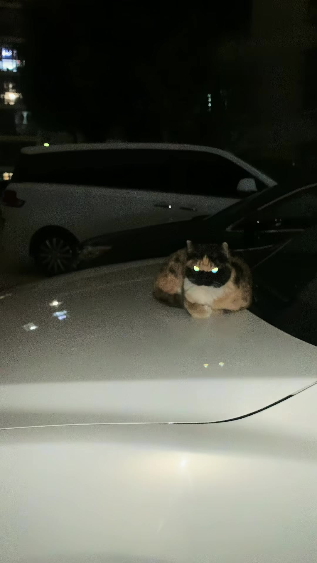 @平凡無奇