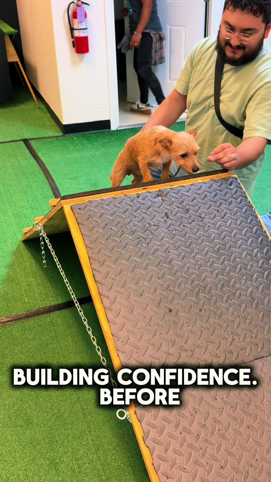 @Tactical K9s Dog Training