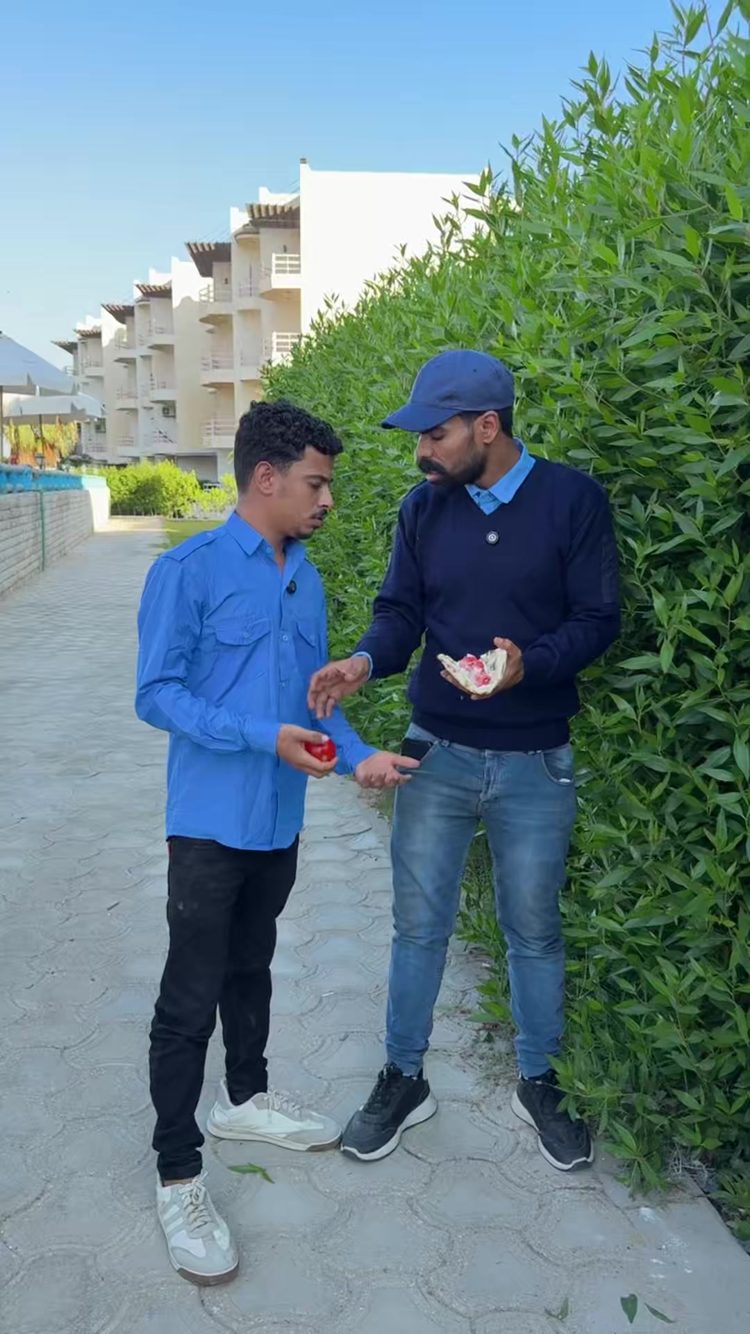 @🇪🇬mahmoud mosleh
