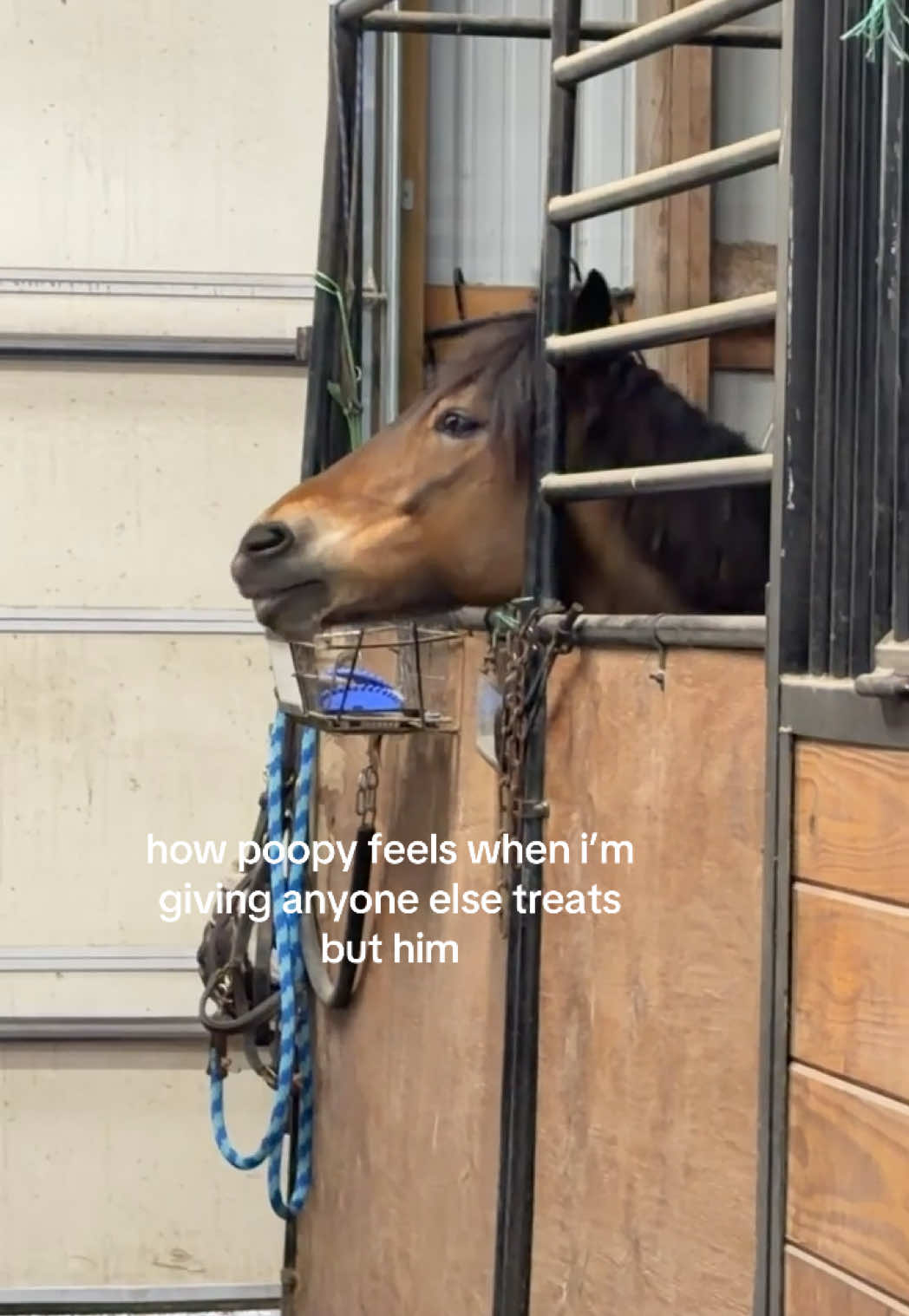 @𝐤𝐢𝐧𝐬𝐥𝐞𝐲