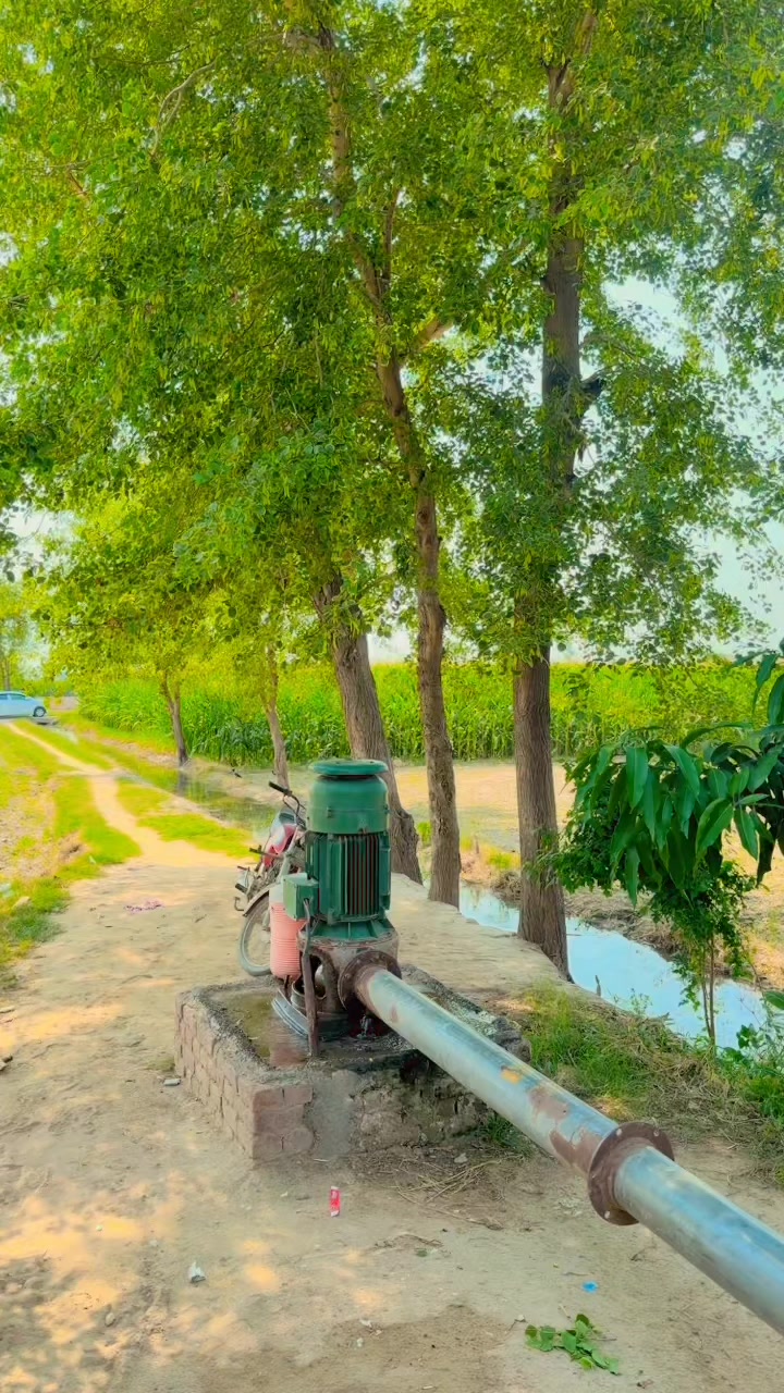 @Mehar Majo🇵🇰
