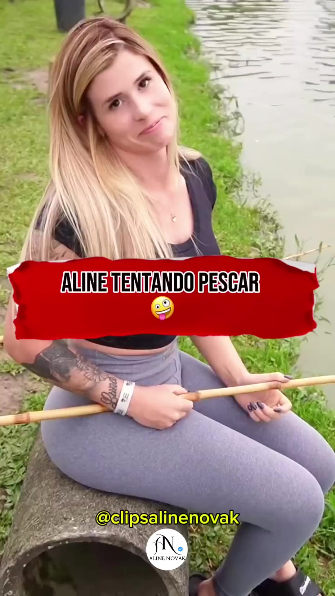 @Aline novak
