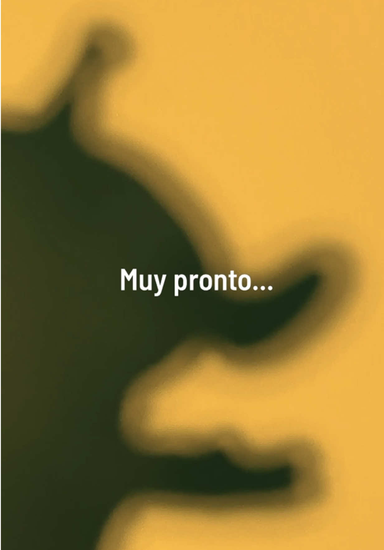 @Trendy Maquillaje