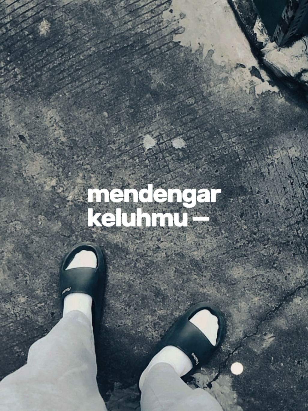 @gnzzid_