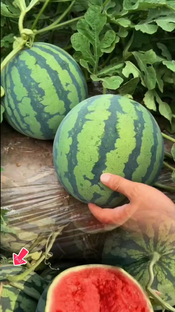 @tới đồ dùng