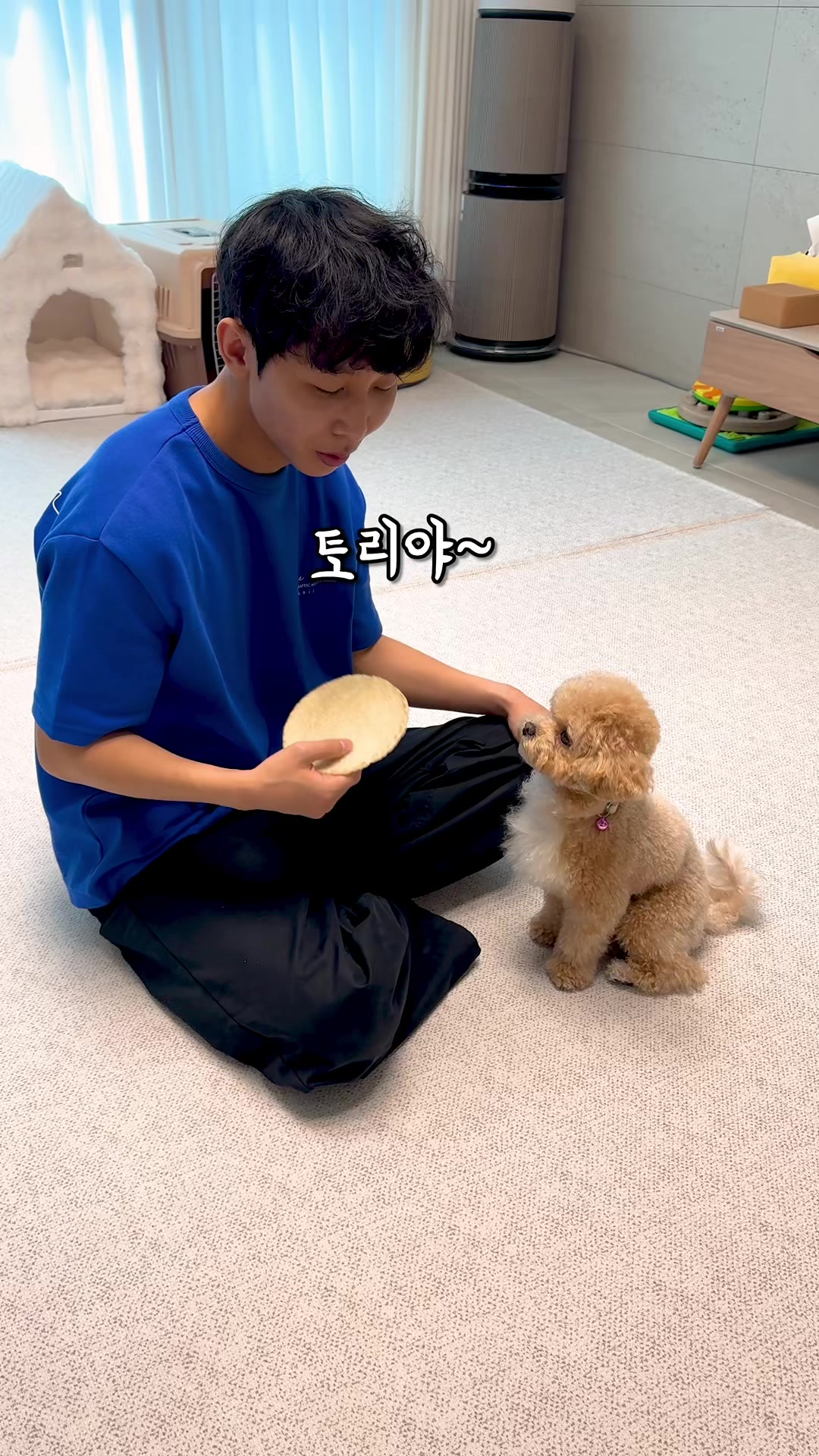 @원샷한솔🐶