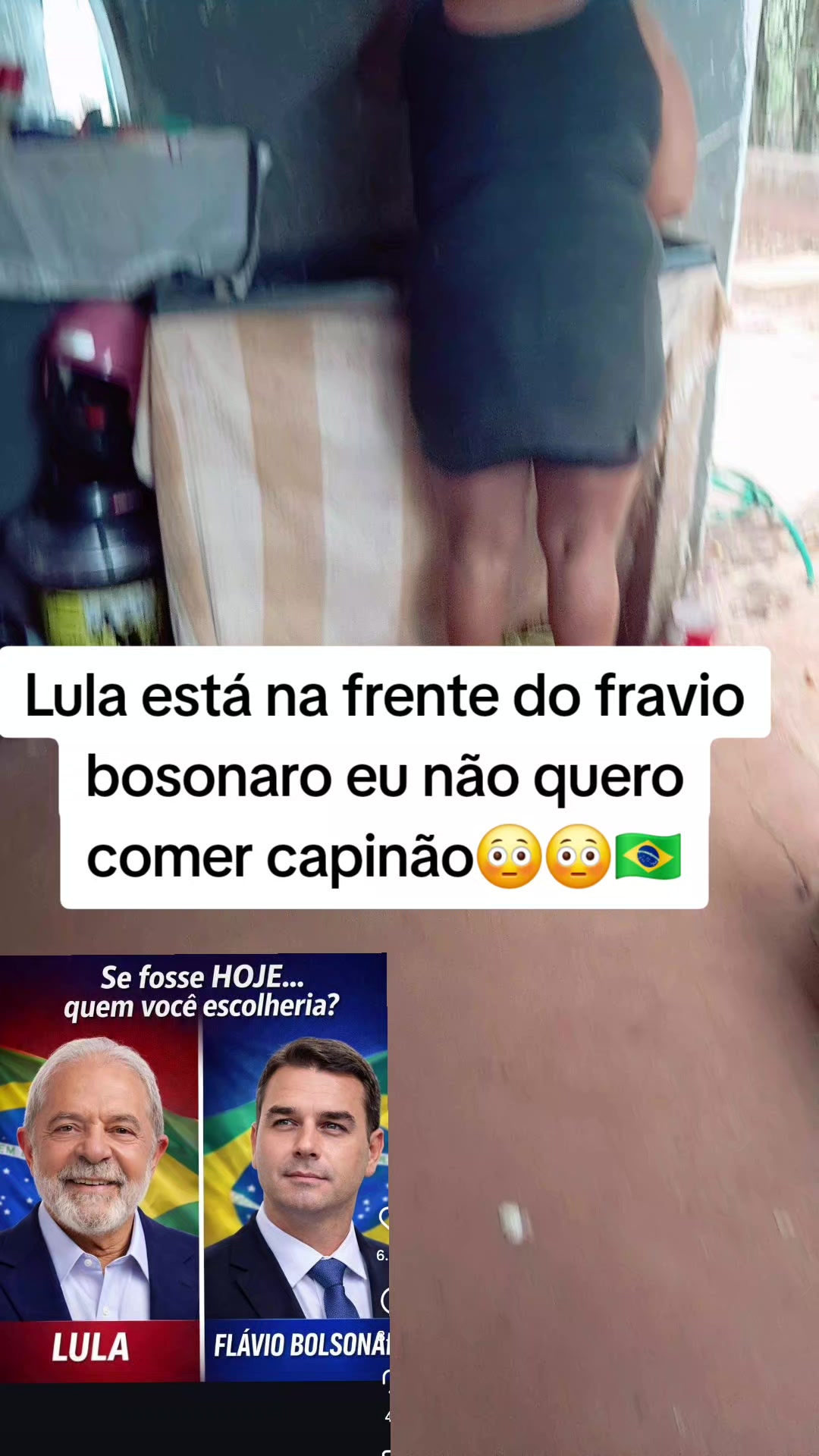 @gata jato