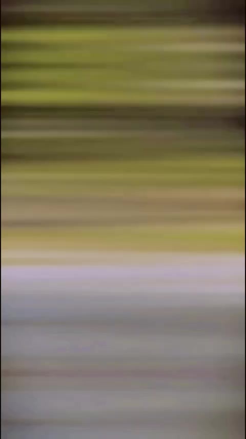 @@𝘾𝙡𝙖𝙨𝙨𝙮_(𝙎𝙤𝙣𝙮)