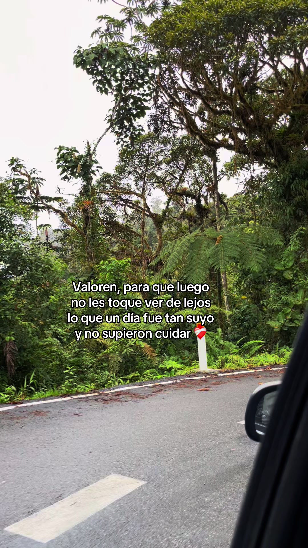 @REBEKA ❤️