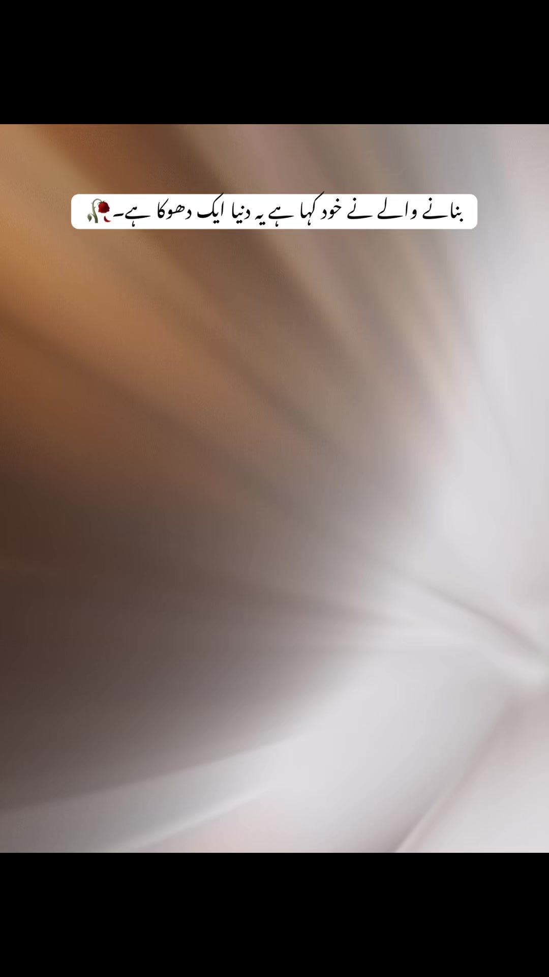 @▼ᴥ ᴍᴀLɪk ᴥ▼🇴🇲