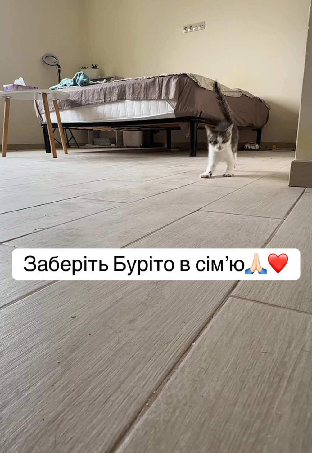 @Корнелія Удовенко