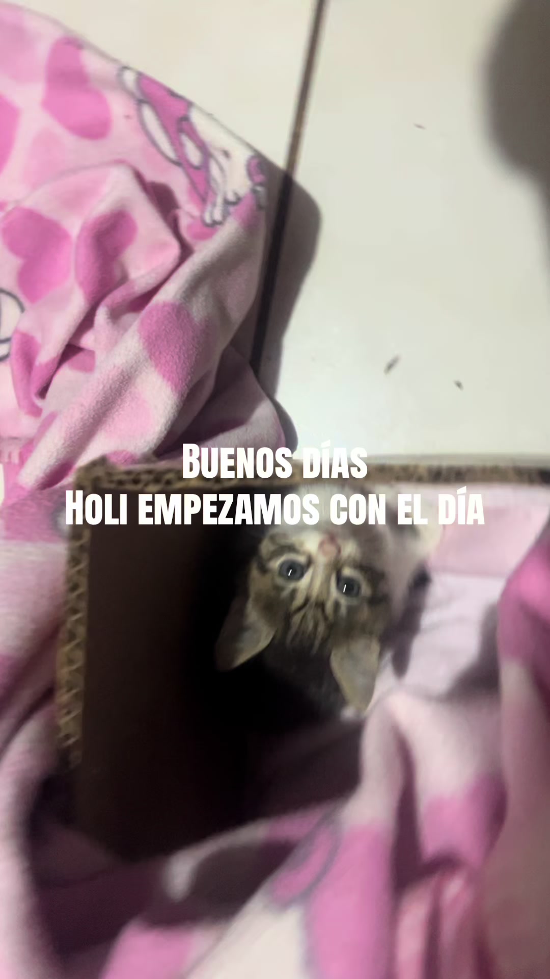 @Jimena<3