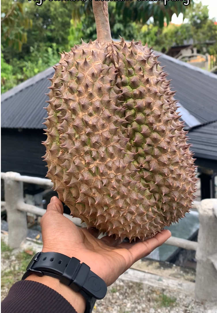 @tangse_punya