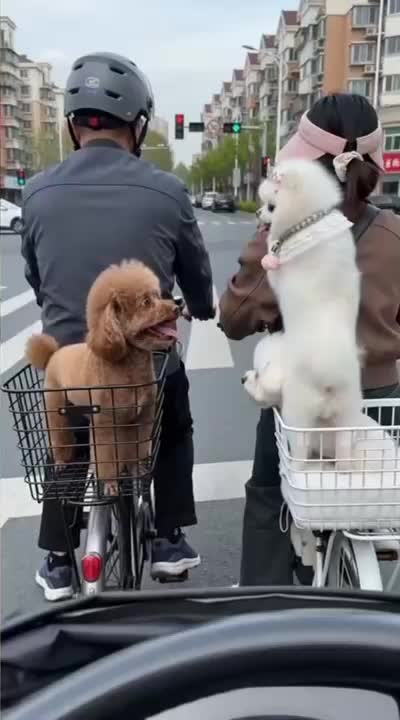 @Funny
