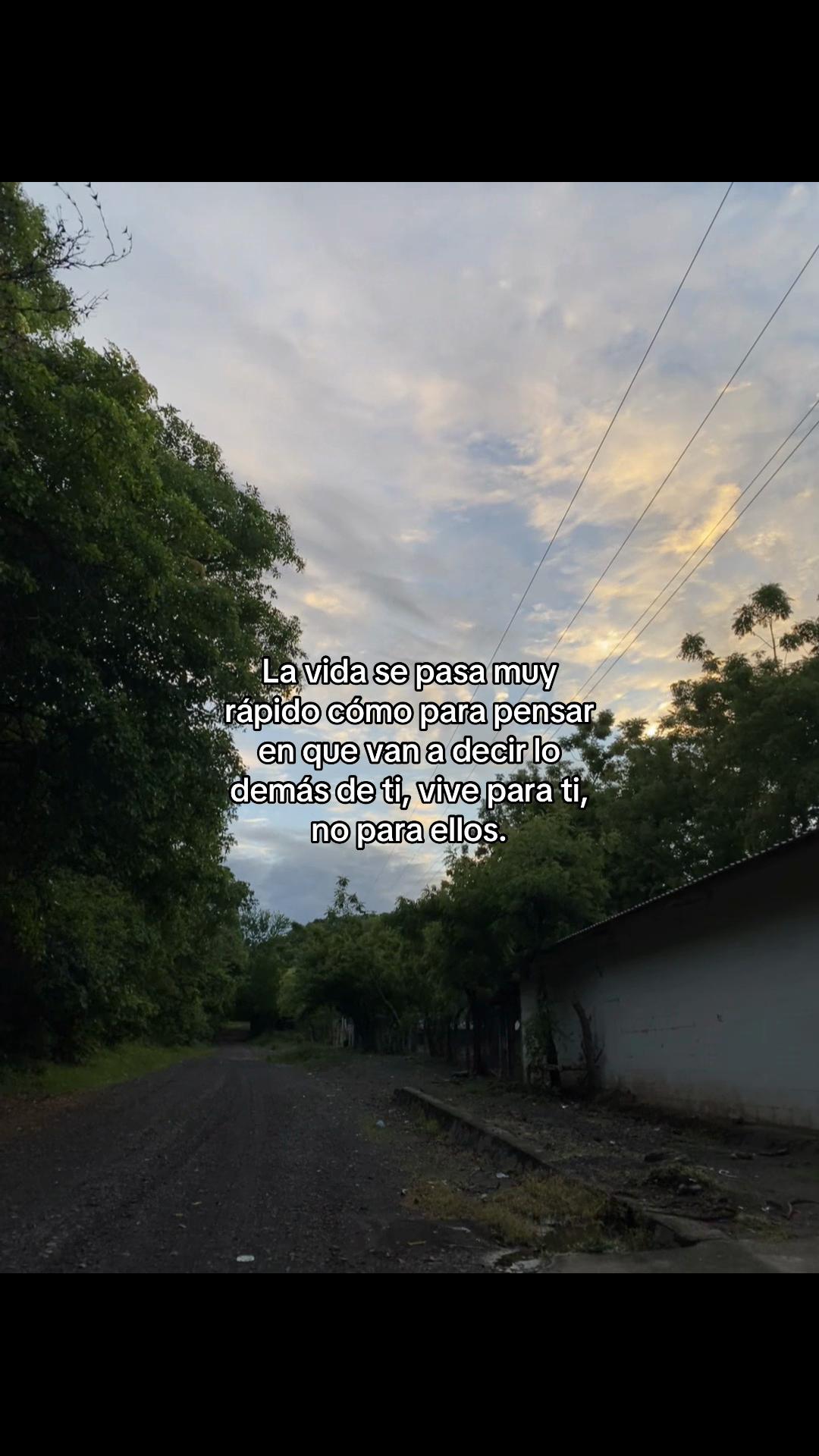 @ sv.brixn_11