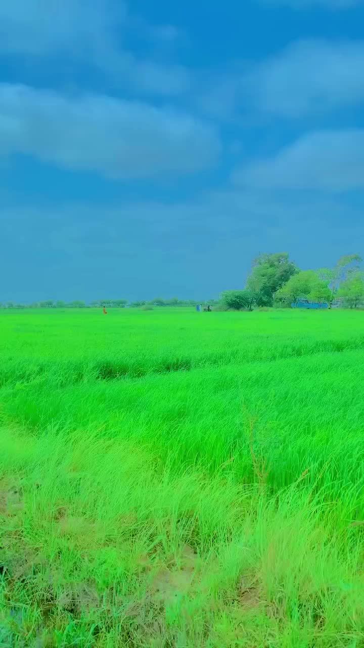 @🇻🇮☝️🥷SPEEN🥷BAZ🥷☝️🇻🇮