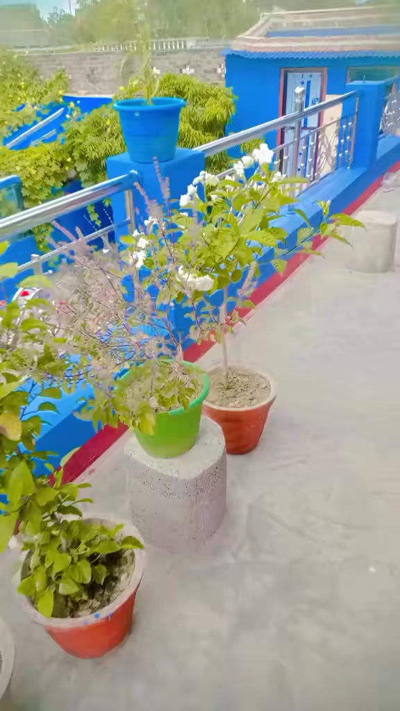 @renu_sharma1174