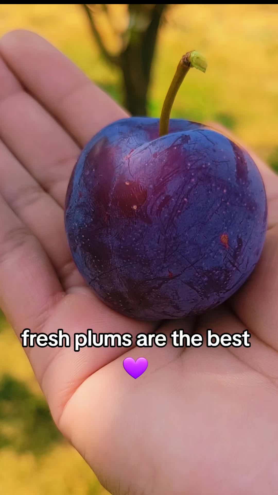@foodielove253