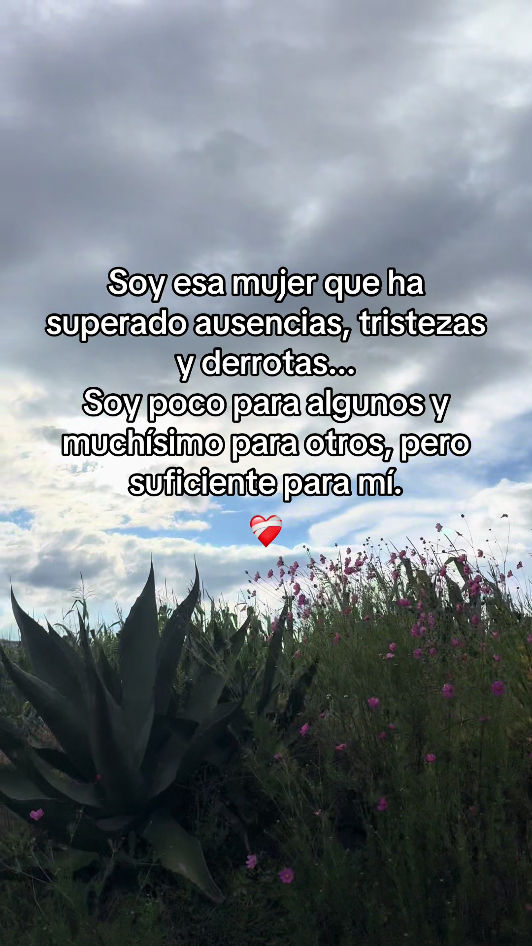 @_fuentesdom_