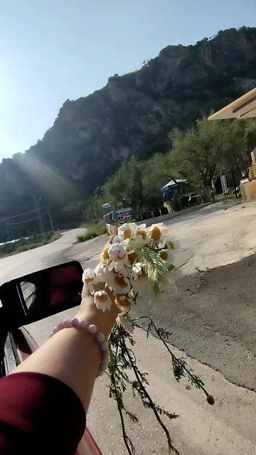 @🌺🅽🅰🆉46🌺🎼📻
