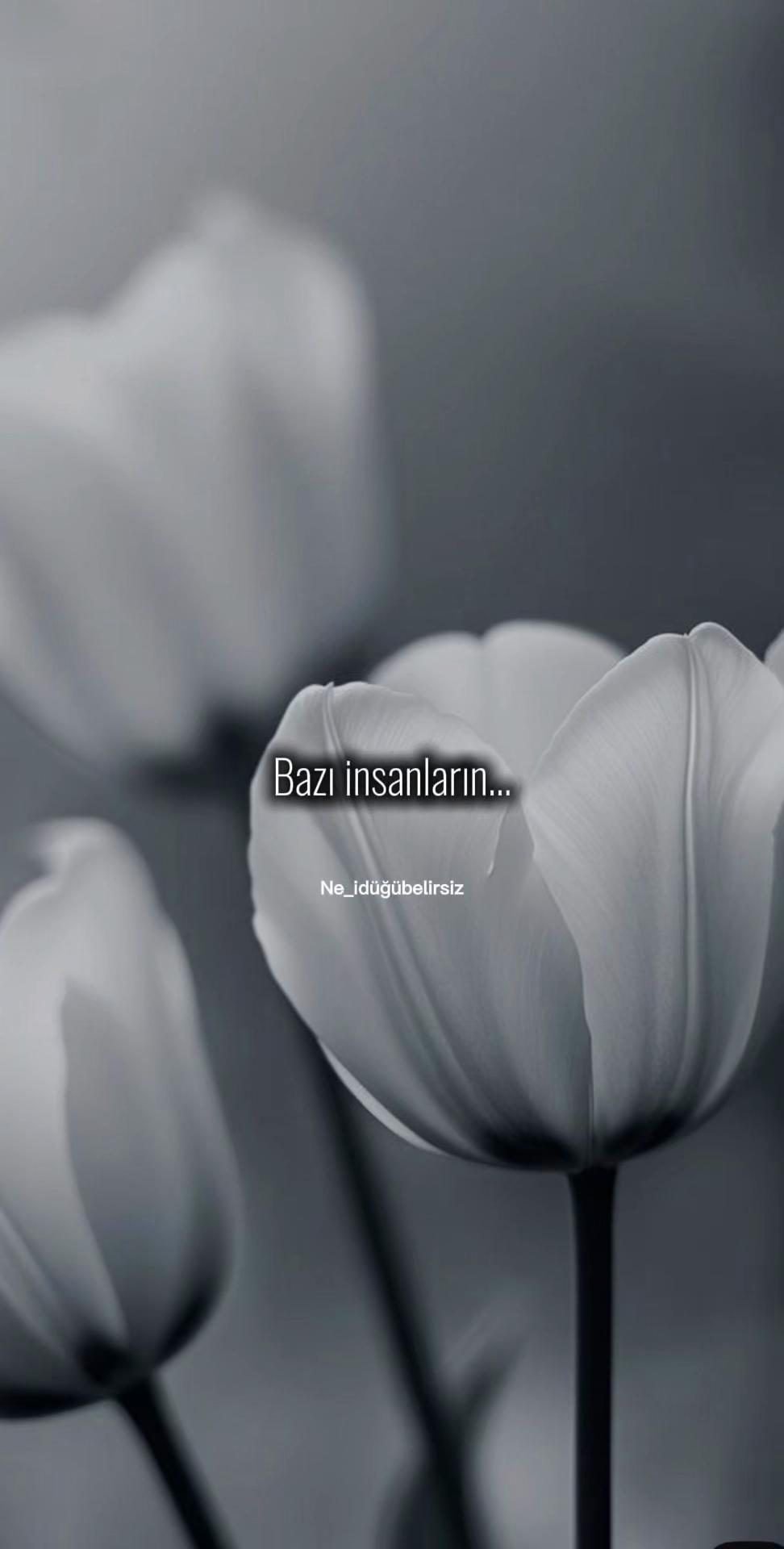 @ne_idugubelirsiz
