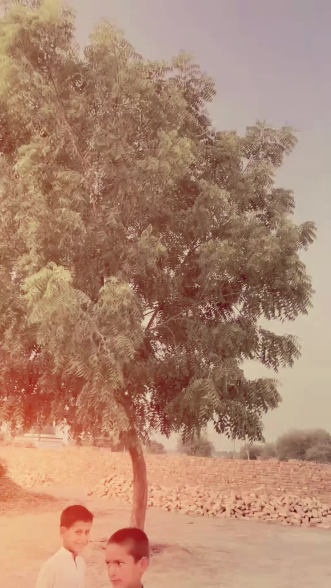 @🔥نمبردار ـ ذیشان ـ وہنیوال 💫