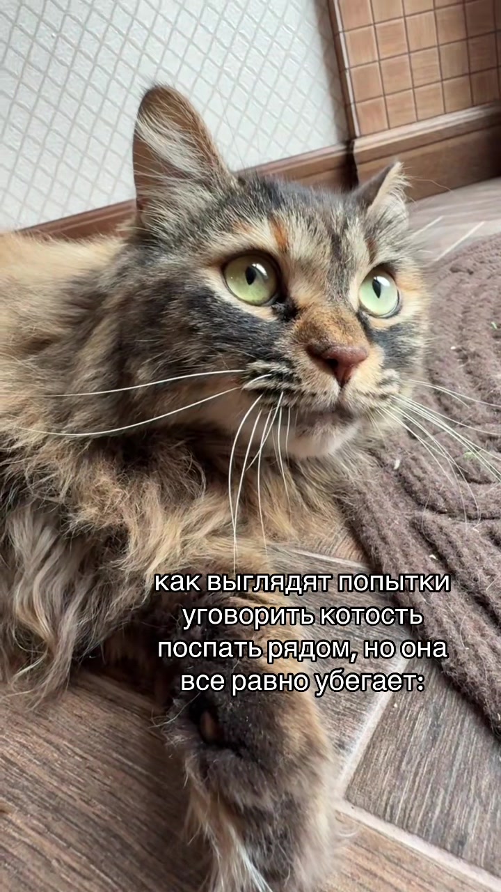 @тгк: алексус💋