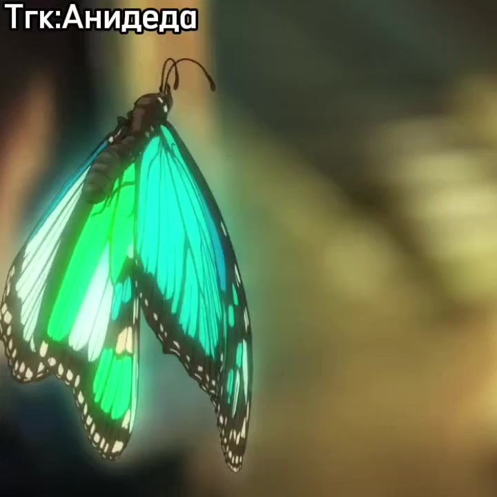 @Анидеда