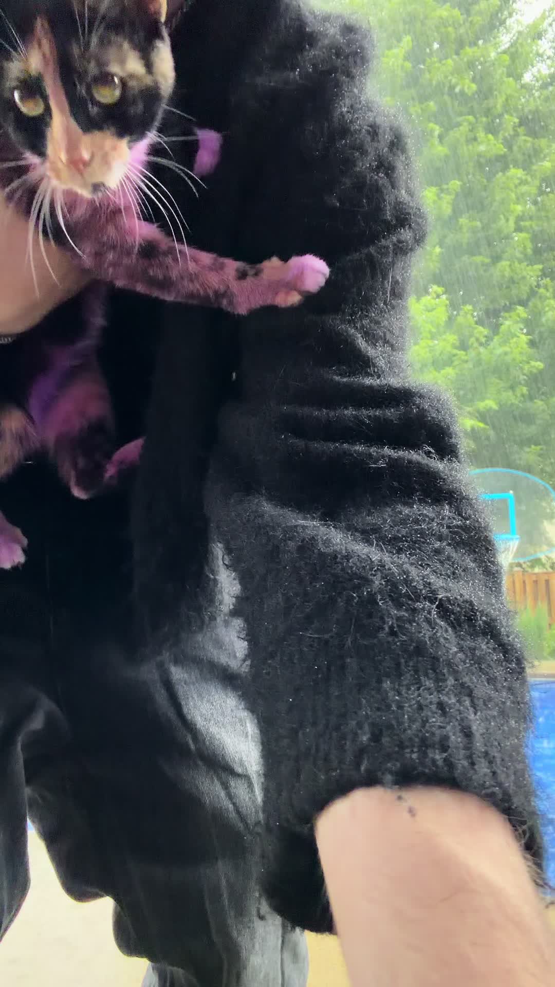 @rabbidsaremyfavorite