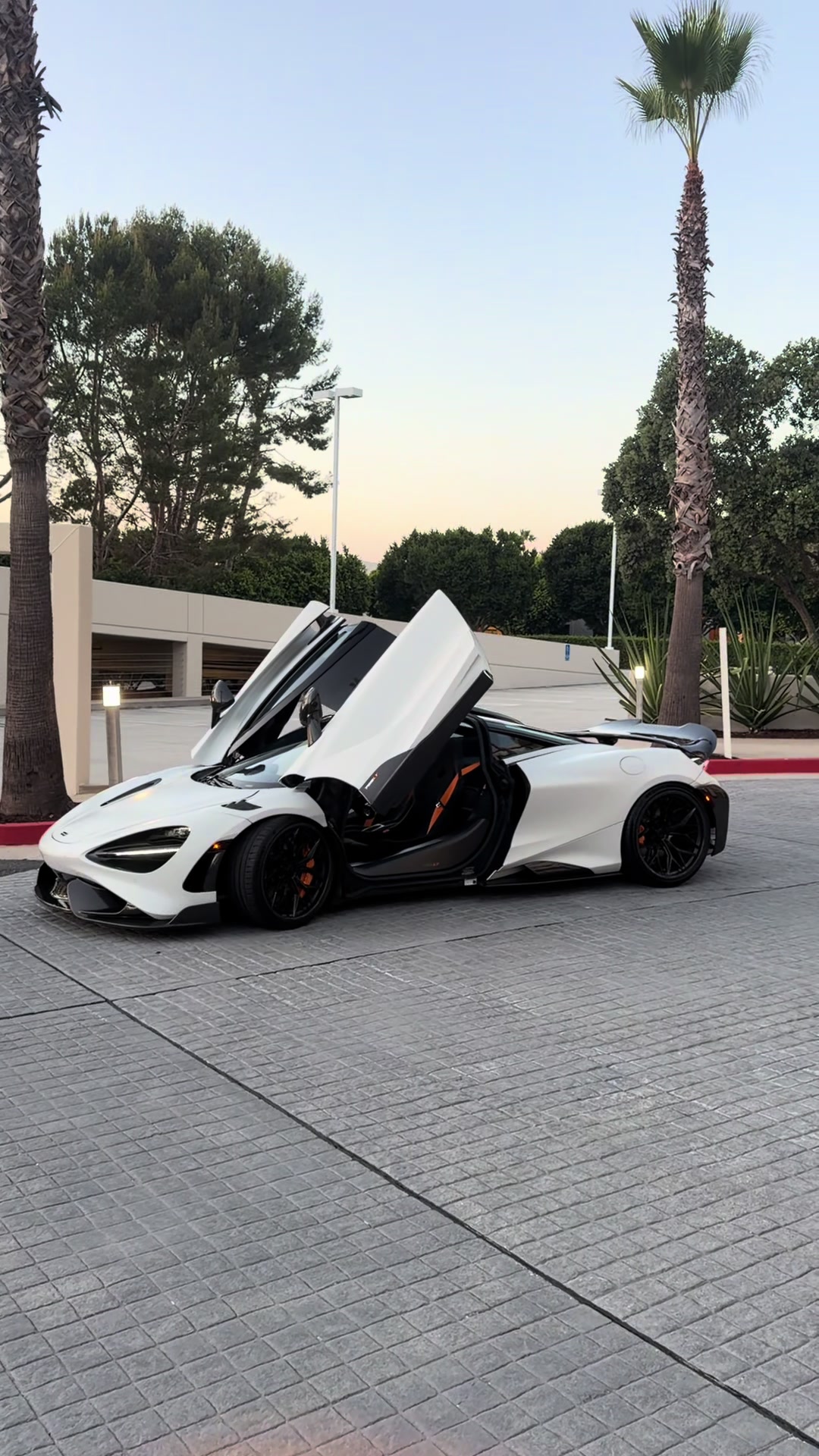 @sheeshg8x