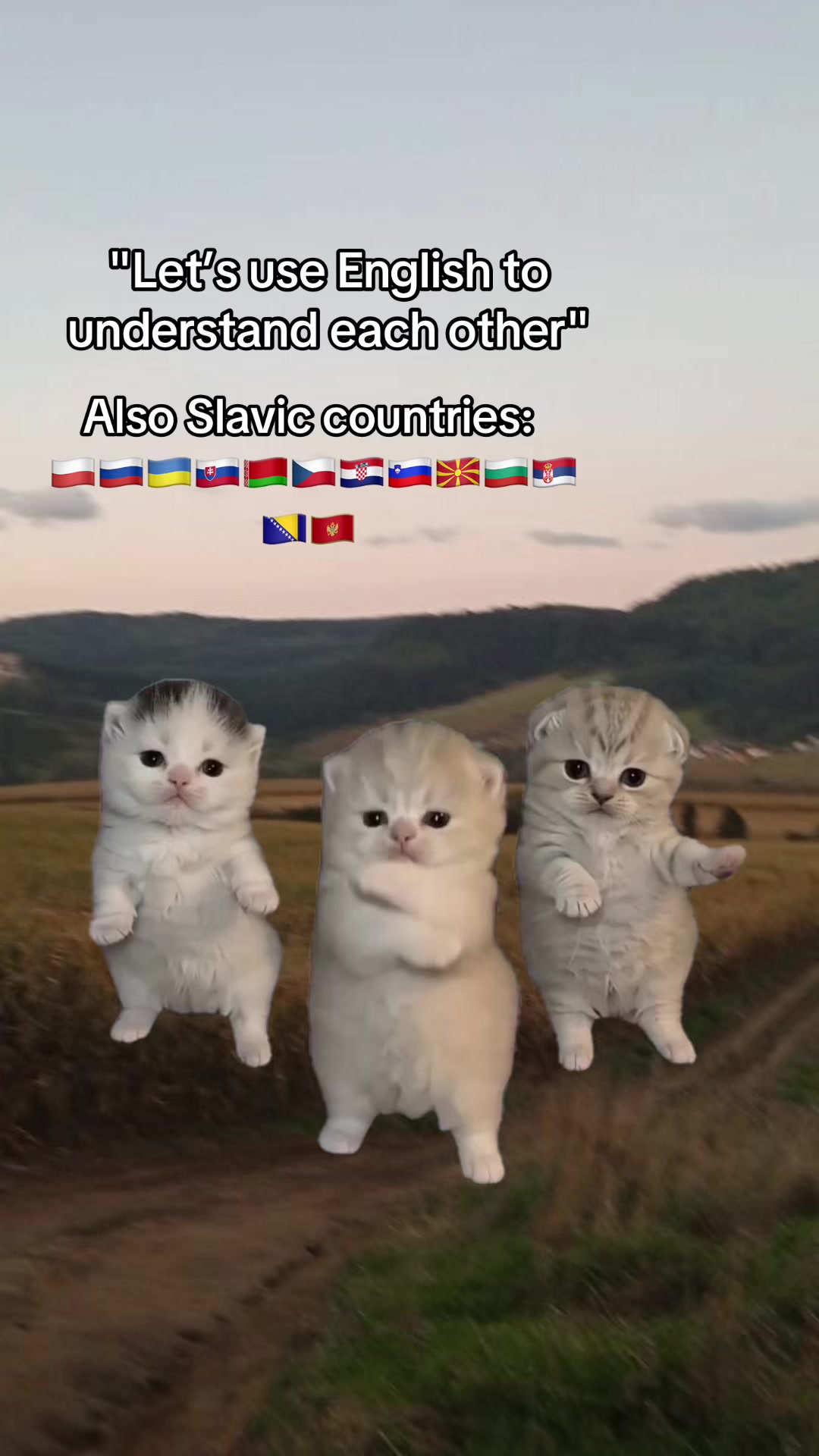 @+48๐ต๐ฑ