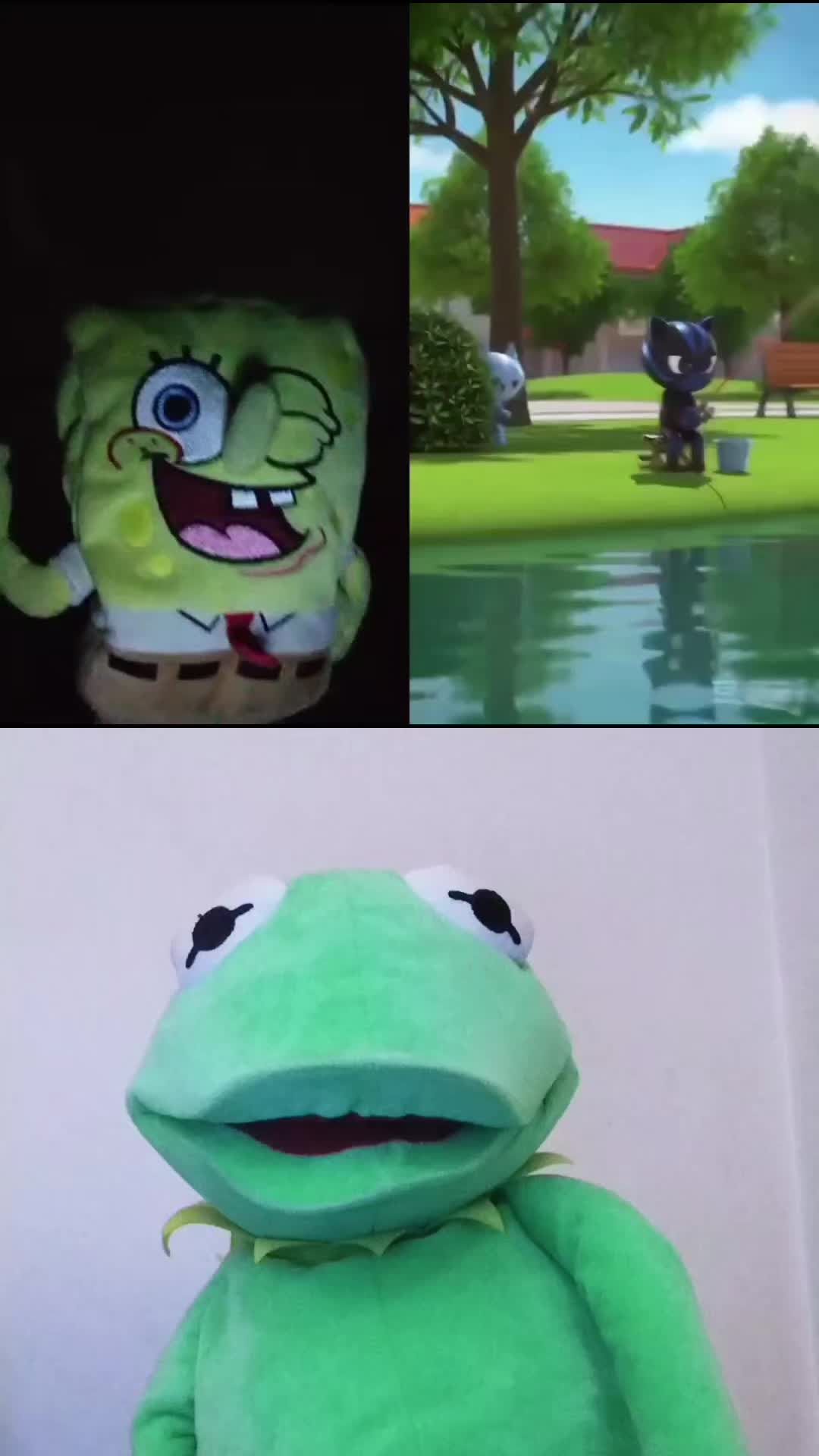 @Kermit The Frog Tiktok