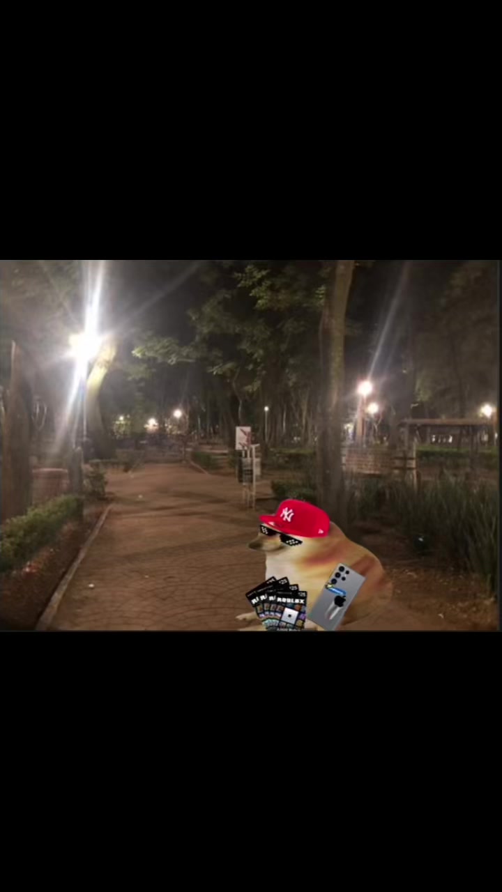 @Cheems_edits