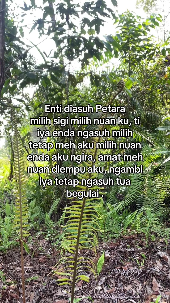 @𝝑୧