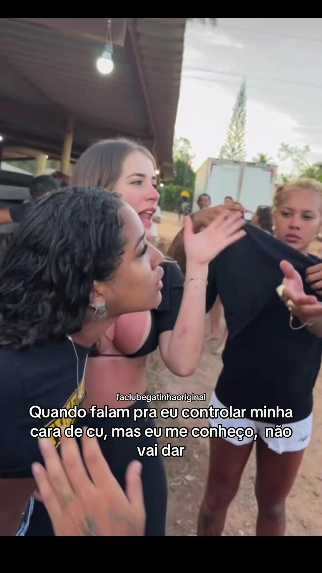 @faclubegatinhaoriginal