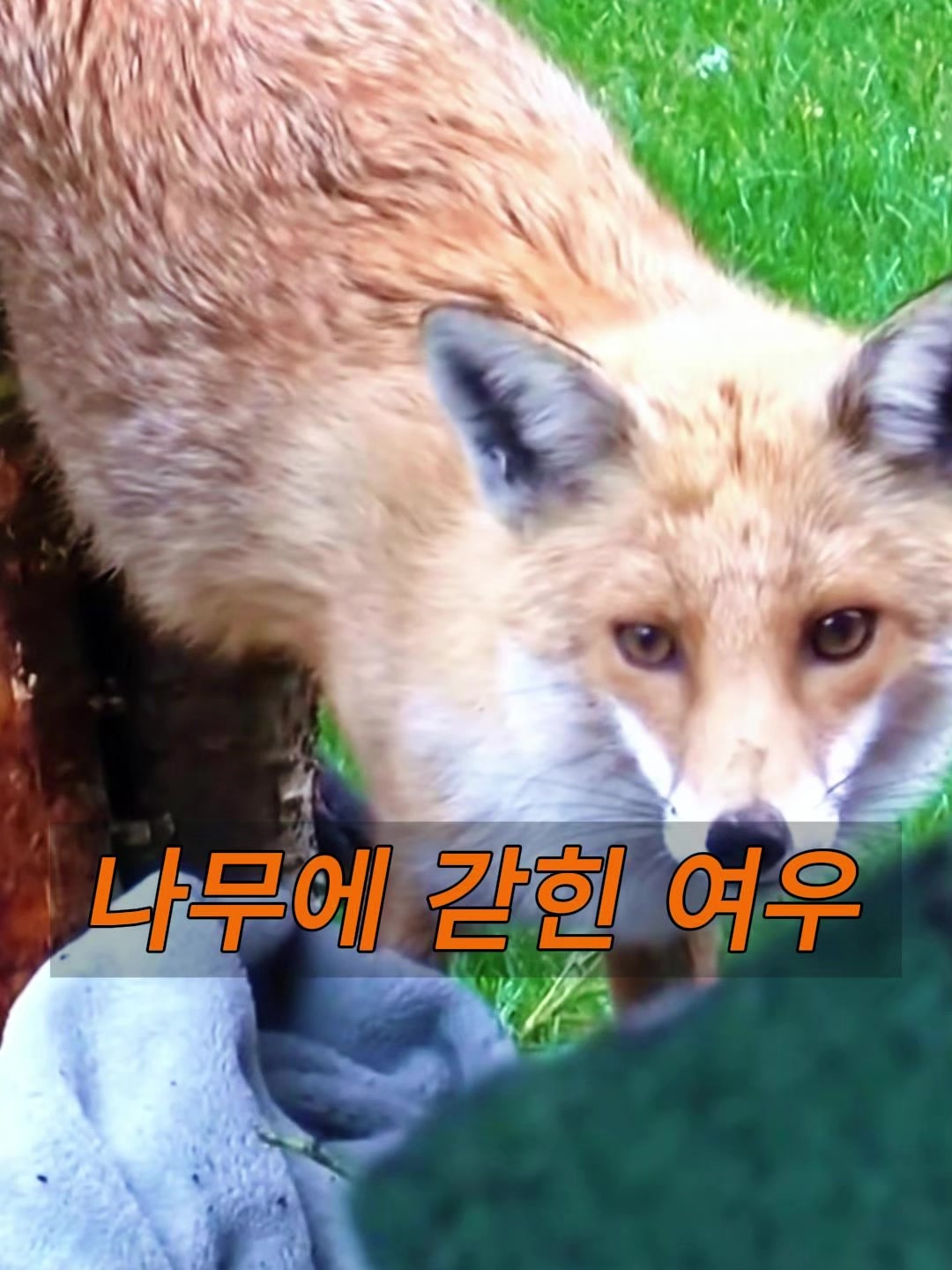 @삼촌Cut2025