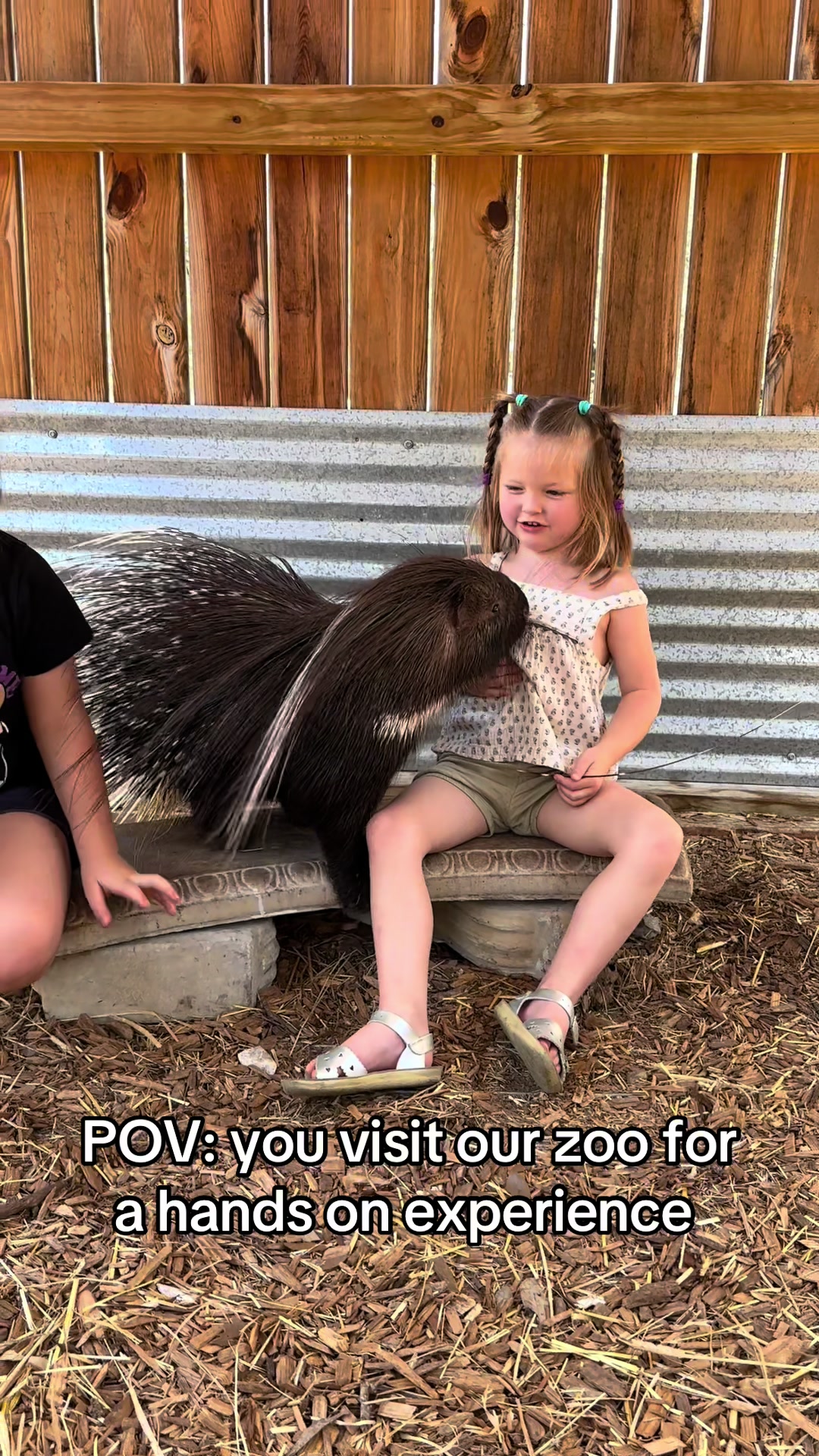 @Texas Wildlife Park