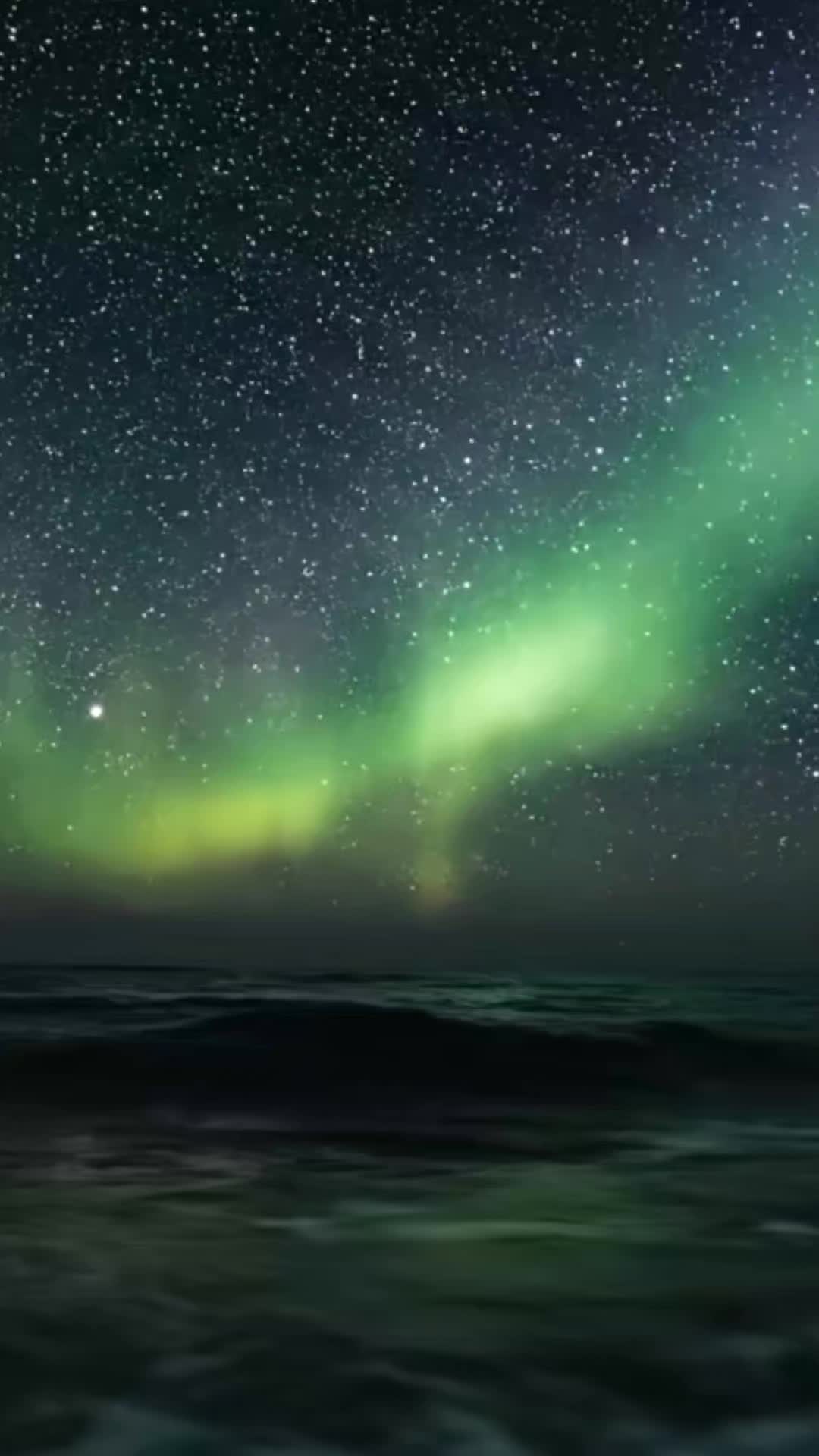 @💚ℕ𝕖𝕨𝕗𝕚𝕖💚🇨🇦