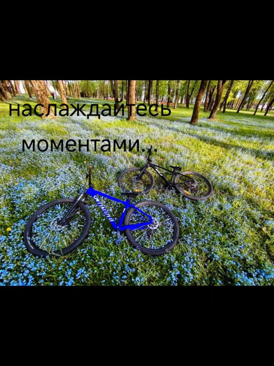 @Виктория Беркус